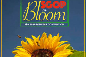 Midyear Convention 2018